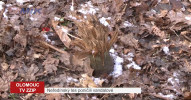 Je tady další vydání Olomouckého magazínu nejen o návratu školáků do škol