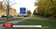 Platany zkrášlí Velkomoravskou ulici