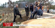 Jak roste náš dub v zoo