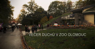 Večer duchů v ZOO