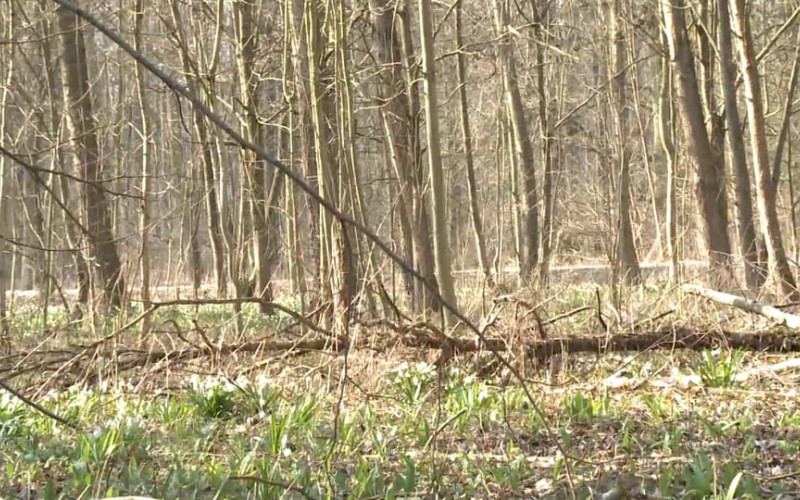 počasí