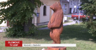 Medvěd v Nedvězí